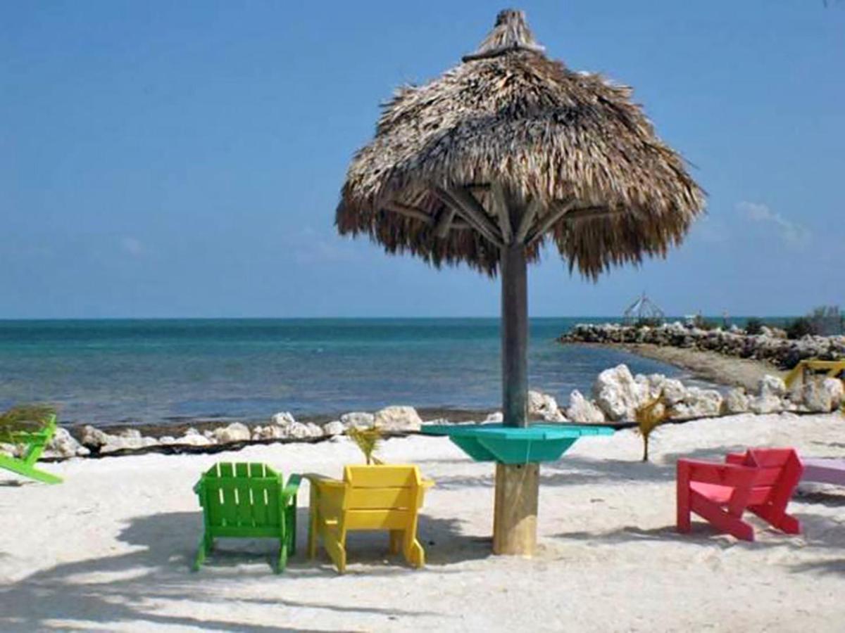 Sea Mist - Oceanfront-Lake-Kayak-Paddleboard-Bike Key Largo Exterior foto