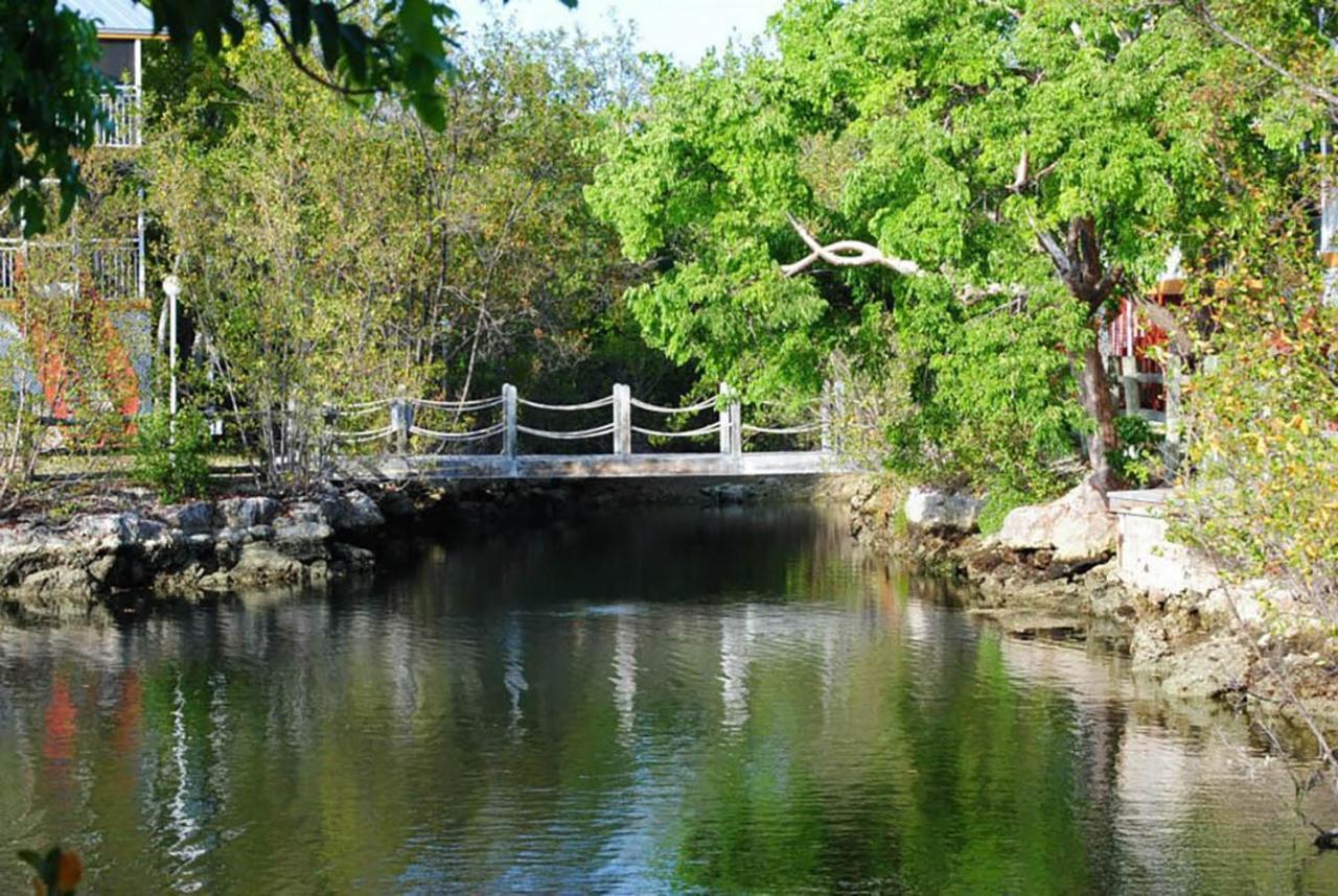 Sea Mist - Oceanfront-Lake-Kayak-Paddleboard-Bike Key Largo Exterior foto