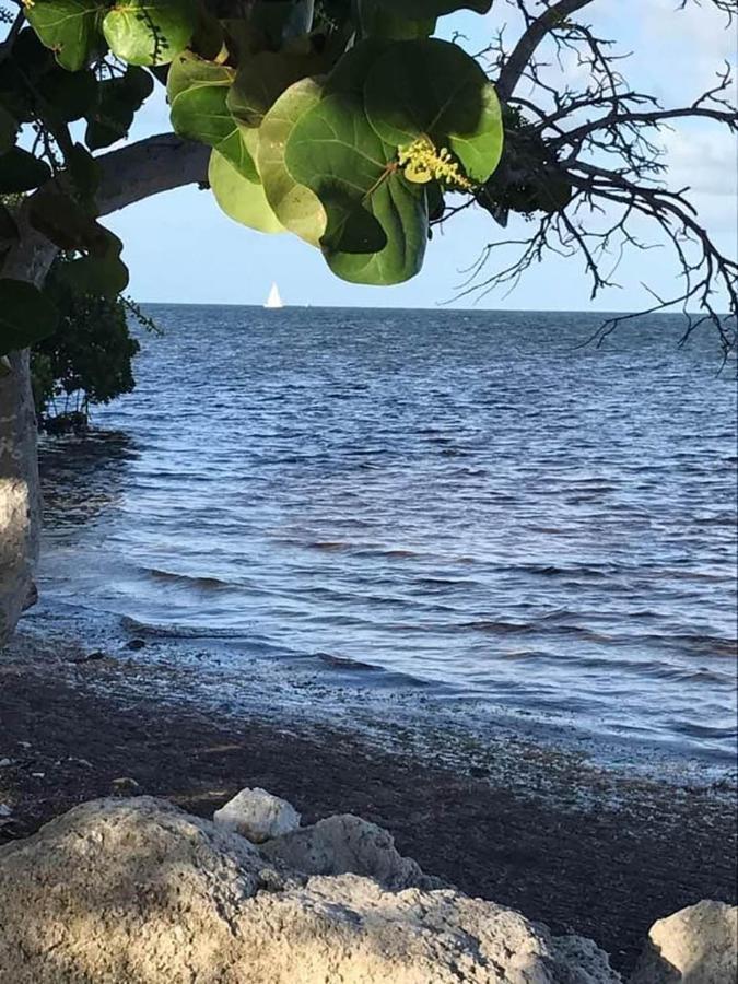 Sea Mist - Oceanfront-Lake-Kayak-Paddleboard-Bike Key Largo Exterior foto