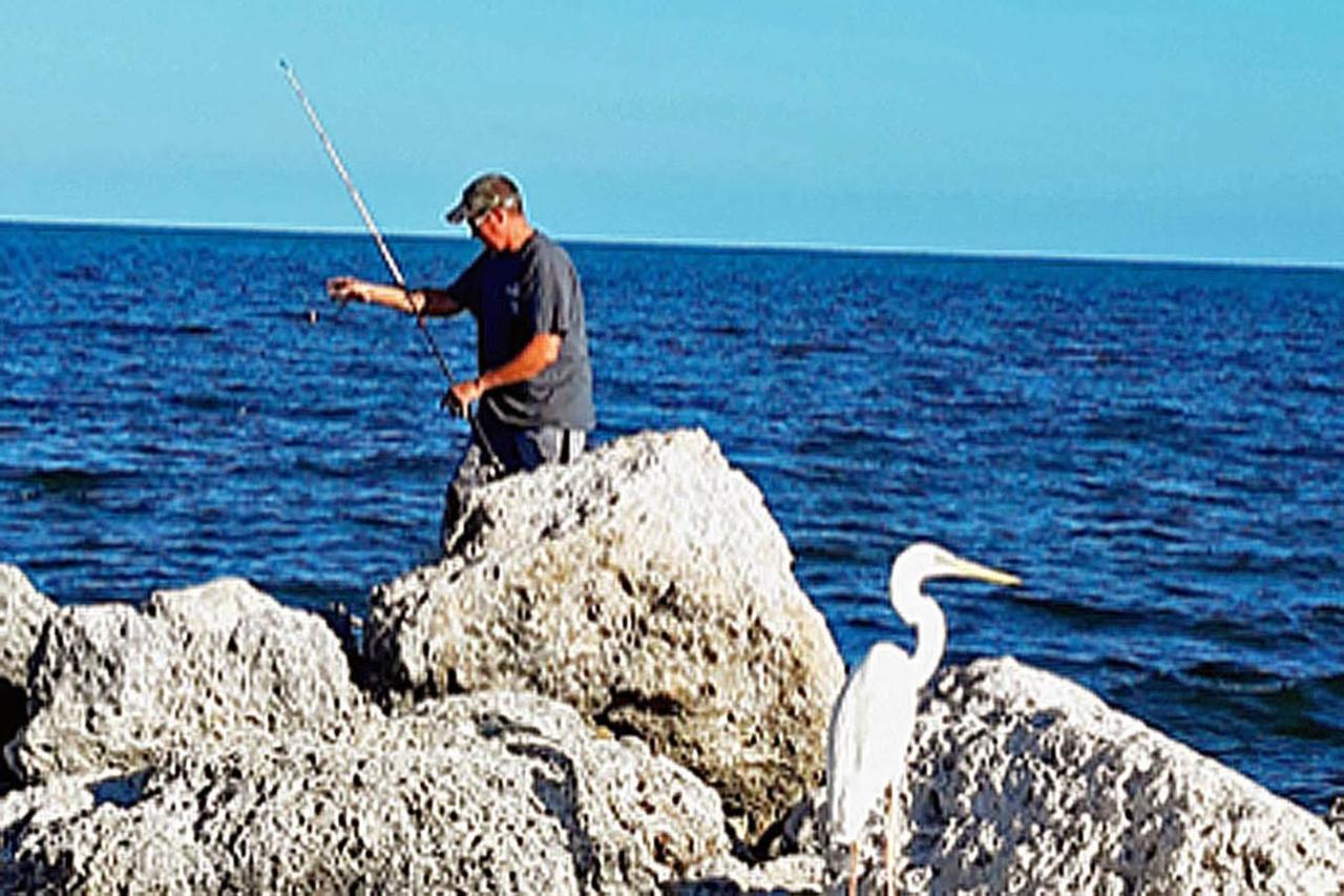 Sea Mist - Oceanfront-Lake-Kayak-Paddleboard-Bike Key Largo Exterior foto